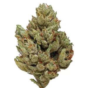 Crybaby OG Strain